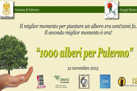 100 alberi a palermo URL IMMAGINE SOCIAL