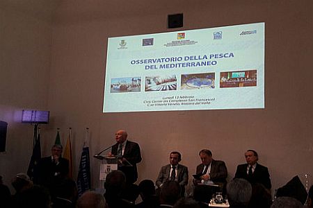 osservatorio pesca sicilia URL IMMAGINE SOCIAL