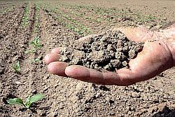 Acque reflue in agricoltura, la Sicilia si adegua all’Ue. Schifani: «Soluzioni concrete per arginare la siccità»