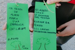 Festa dell’albero – Inner Club Qarinis dona piante all’IC Carini Calderone Torretta